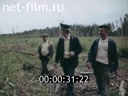 Кадр видео