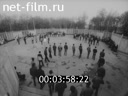 Кадр видео