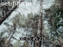 Footage frame