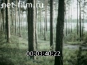 Footage frame