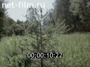 Footage frame