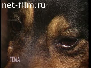 Telecast theme (1994 №327) 12/06/1994.