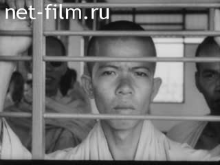 Новости Зарубежные киносюжеты №1359 (1966)