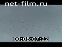 Footage frame