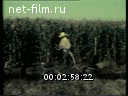 Footage frame