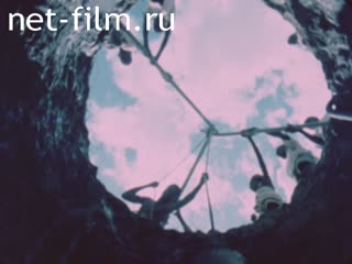 News Foreign newsreels №5143 (1977)