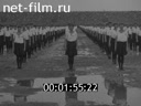 Кадр видео