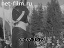 Кадр видео