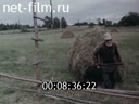 Кадр видео