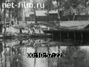 Кадр видео