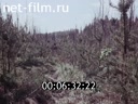 Footage frame