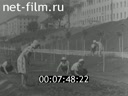 Кадр видео