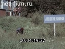 Кадр видео