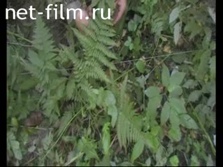 Telecast Serve my Homeland (2011 №1) 10/02/2011.