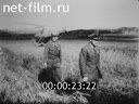 Кадр видео