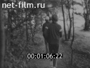 Кадр видео
