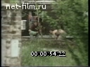 Footage frame