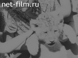 Newsreel Fox Toenende Wochenschau №25 (1939)