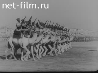 Newsreel Fox Toenende Wochenschau №33 (1937)