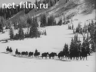 Newsreel Fox Toenende Wochenschau №45 (1937)