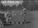 Кадр видео