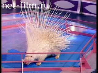 Telecast These amusing animals (1998 №621) 12/24/1998.