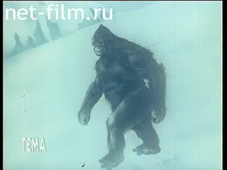 Телепередача Тема (1993 №371) 06.04.1993.