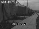 Романтика - 25 километров