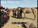 The Cossacks Of Novorossiysk