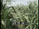 Footage frame