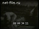 Сингапур - рабочие завода нефтедобывающего оборудования бастуют в знак протеста против увольнений и преследования администрацией членов профсоюза.(Зарубежные новостные сюжеты №2, )