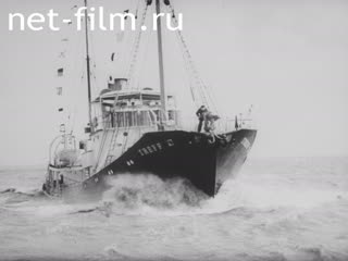Newsreel Tonwoche №314 (1936)