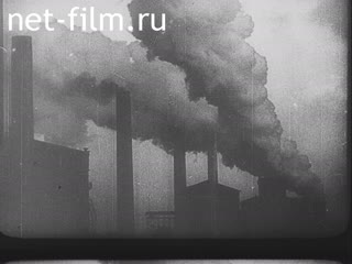 Newsreel Tonwoche №322 (1936)