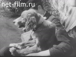 Киножурнал Эклер №23 (1940)