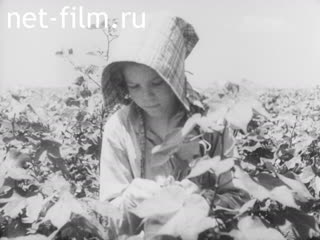 Newsreel The march of time №25037 (1937)