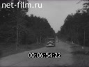 Кадр видео