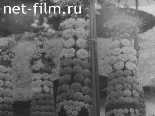 Киножурнал На первый взгляд странно №36 (1933)