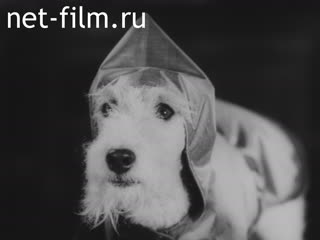 Киножурнал Марш времени №21387 (1930)