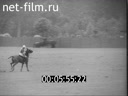 Кадр видео