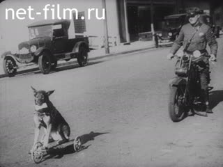 Newsreel Eclair №52 (1927)