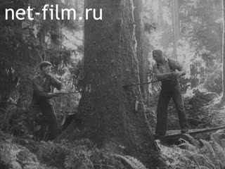 Киножурнал Новости Юнайтед №21 (1942)