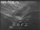 Footage frame