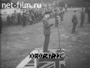 Кадр видео