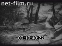 Кадр видео
