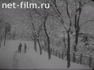 Киножурнал Вечерняя Хроника №14 (1918)