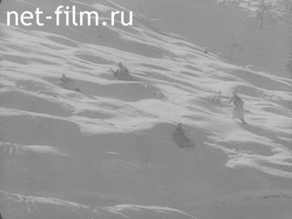 Newsreel Ostland Woche №24364 (1944)