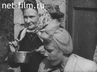 Newsreel Ostland Woche №23690 (1944)