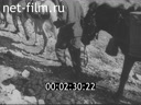 Footage frame