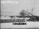 Кадр видео