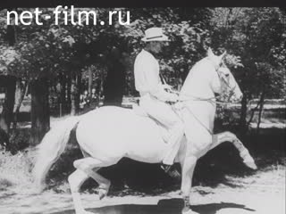 Newsreel Ostland Woche №27859 (1944)